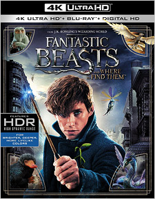 Fantastic Beasts and Where to Find Them (4K UHD Review)