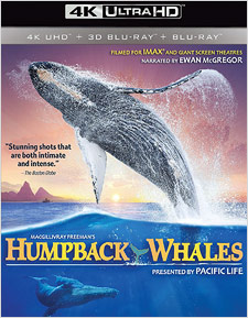 Humpback Whales (4K UHD Review)