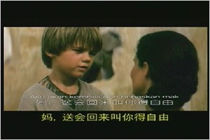 Two sets of subtitles appear on the video.