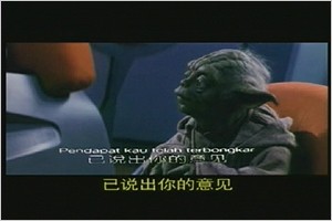 Two sets of subtitles appear on the video.