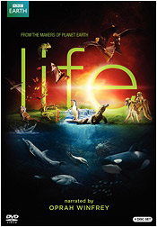 Life (DVD)