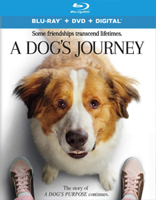 A Dog's Journey (Blu-ray Disc)
