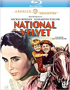 National Velvet (Blu-ray Disc)
