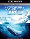 Wonders of the Arctic (4K UHD Review)